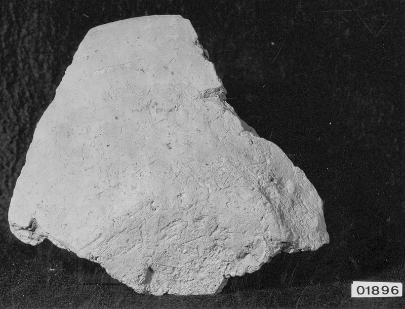 ostracon / Musées Royaux d'Art et d'Histoire