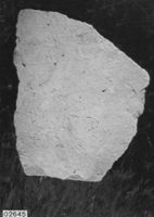 A141588