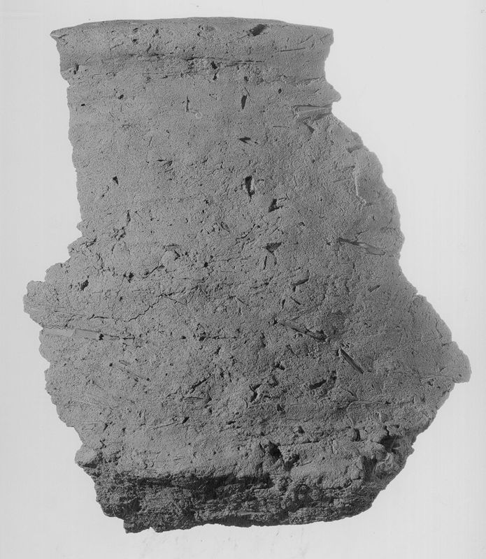 ostracon / Musées Royaux d'Art et d'Histoire
