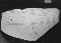 A141645