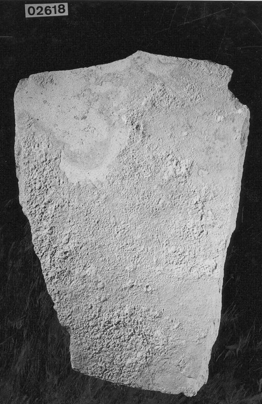 ostracon / Musées Royaux d'Art et d'Histoire