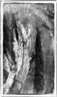 A141673