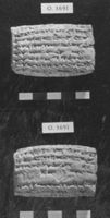 A142035