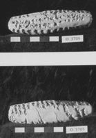 A142045