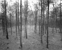 B000247