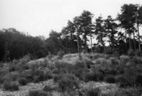 B000256