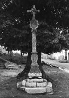 B003036
