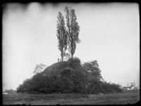 B003407