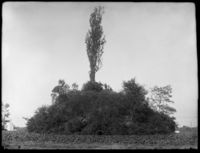 B003408