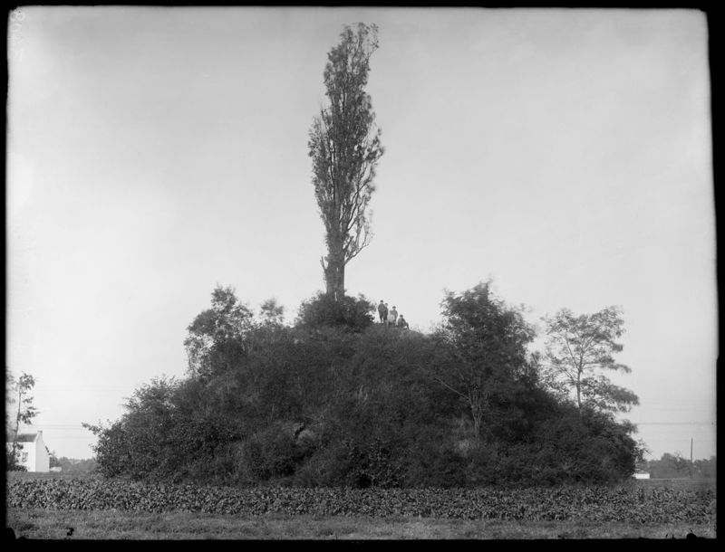 grafheuvels van Grimde