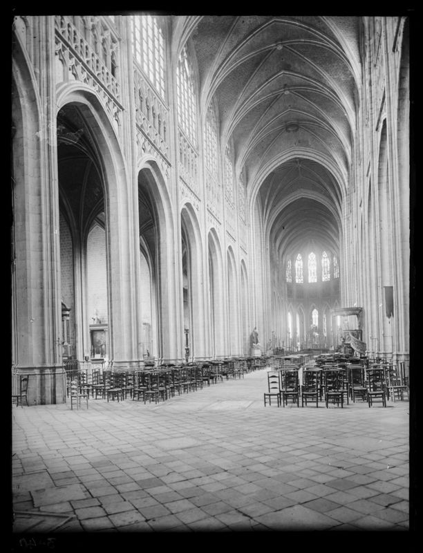 collégiale / Eglise Sainte-Waudru[Mons]