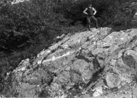 B003776