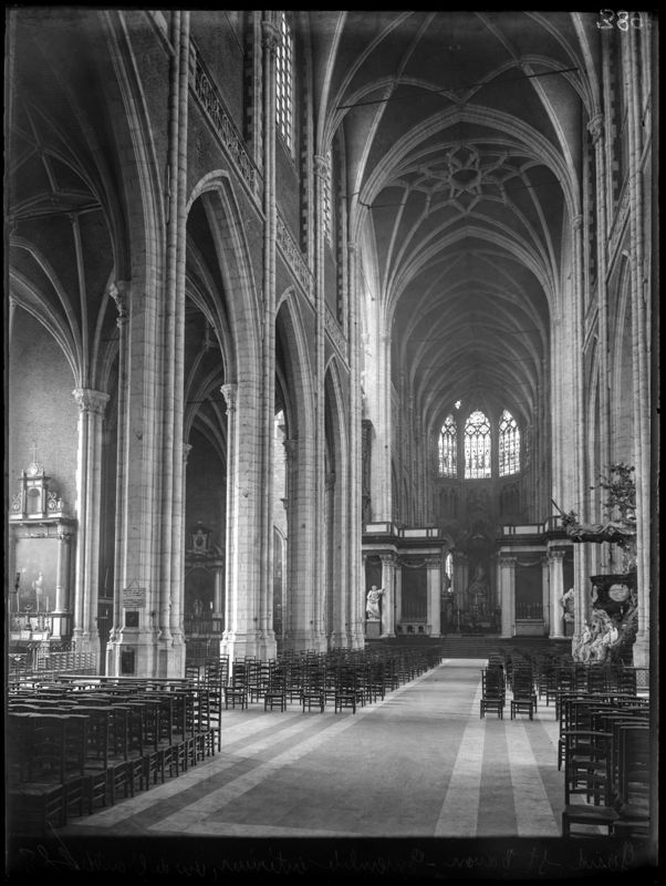 cathédrale / Cathédrale Saint-Bavon[Gand]