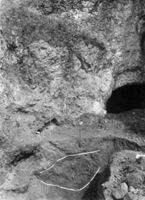 B003980