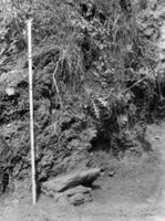 B003981