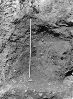 B003982