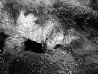 B004100