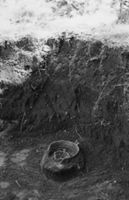 B004105