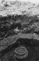 B004106