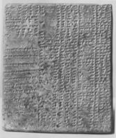 B004686