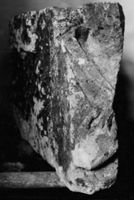 B004902