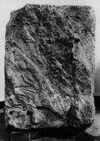B004913