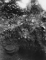 B005253