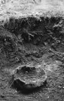 B005254