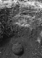 B005255