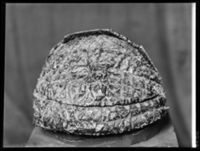 B006542