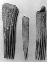 B007425