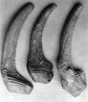 B007433