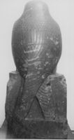 B007497
