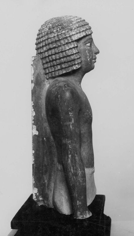 torse humain / Musées Royaux d'Art et d'Histoire