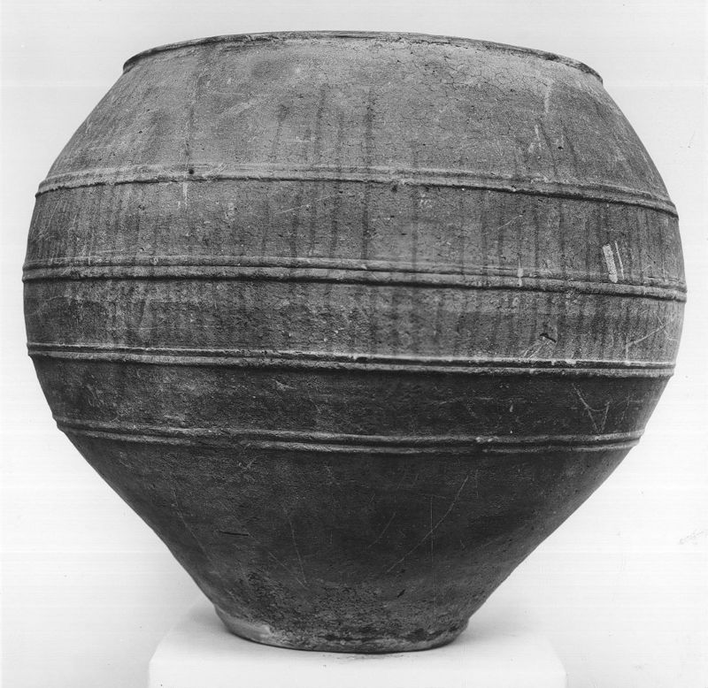 Dolium