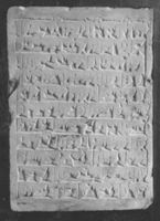 B009124