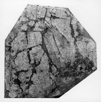 B009442