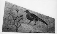 B009443