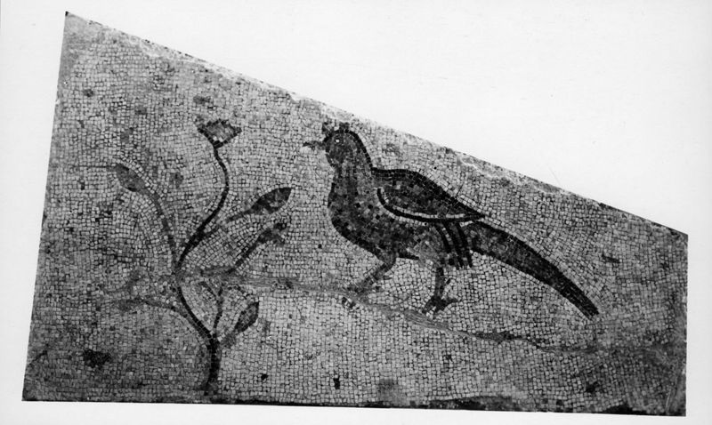 Mosaïques de la Grande Colonnade d'Apamée