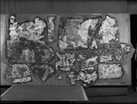 B009494