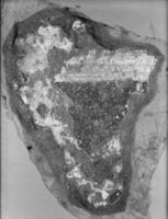 B009497