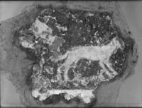 B009499