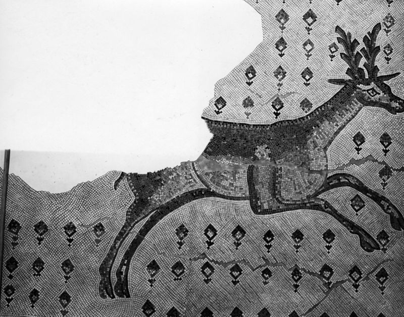 Mosaïques de la Grande Colonnade d'Apamée