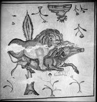 B009568