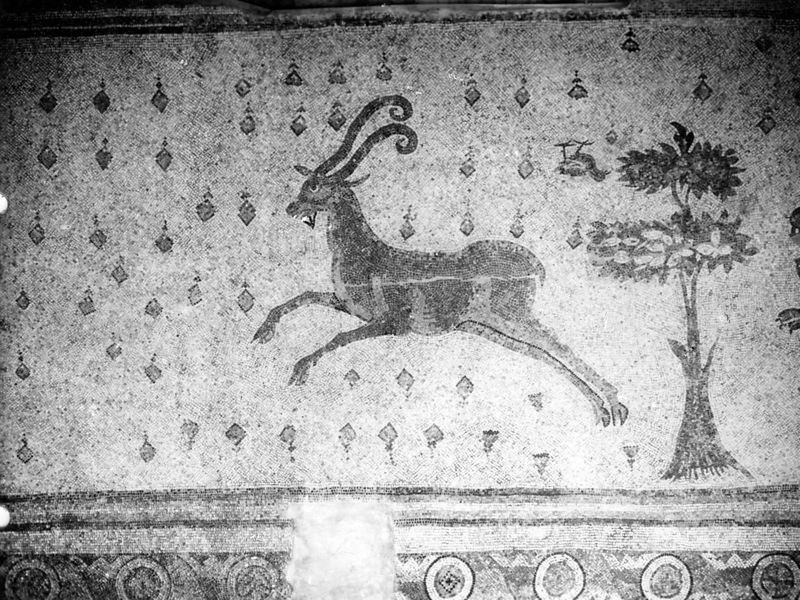 Mosaïques de la Grande Colonnade d'Apamée