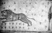 B009571