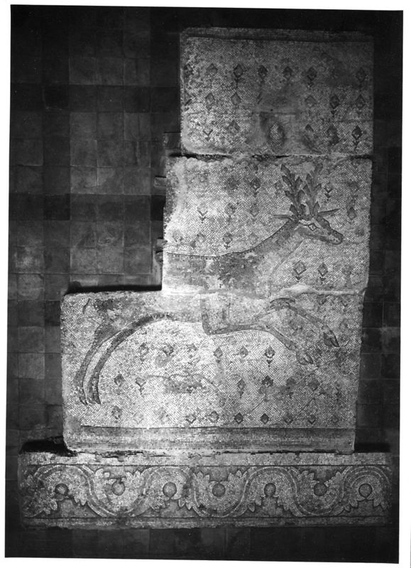 Mosaïques de la Grande Colonnade d'Apamée