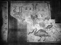 B009575