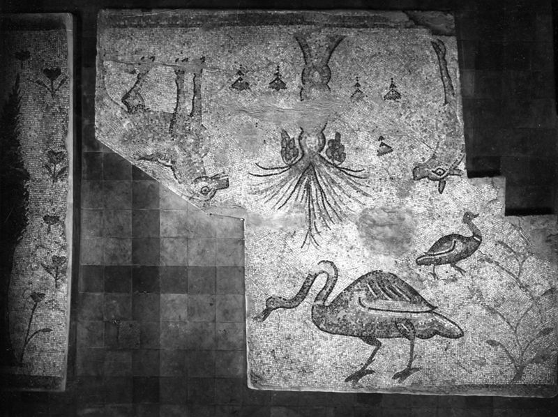 Mosaïques de la Grande Colonnade d'Apamée