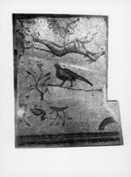 B009576